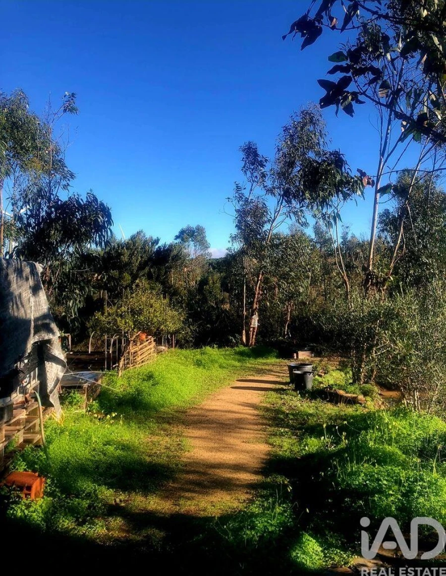 Terreno para Venda em Bensafrim e Barão de São João Foto 14
