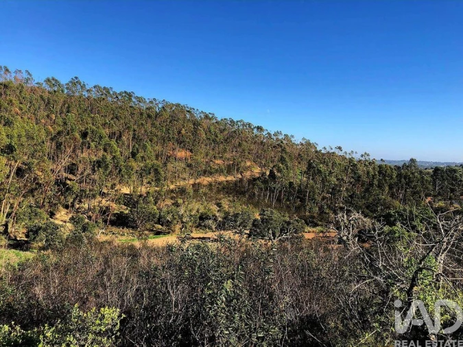 Terreno para Venda em Bensafrim e Barão de São João Foto 17