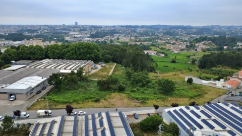 Terreno para Venda em Nogueira e Silva Escura