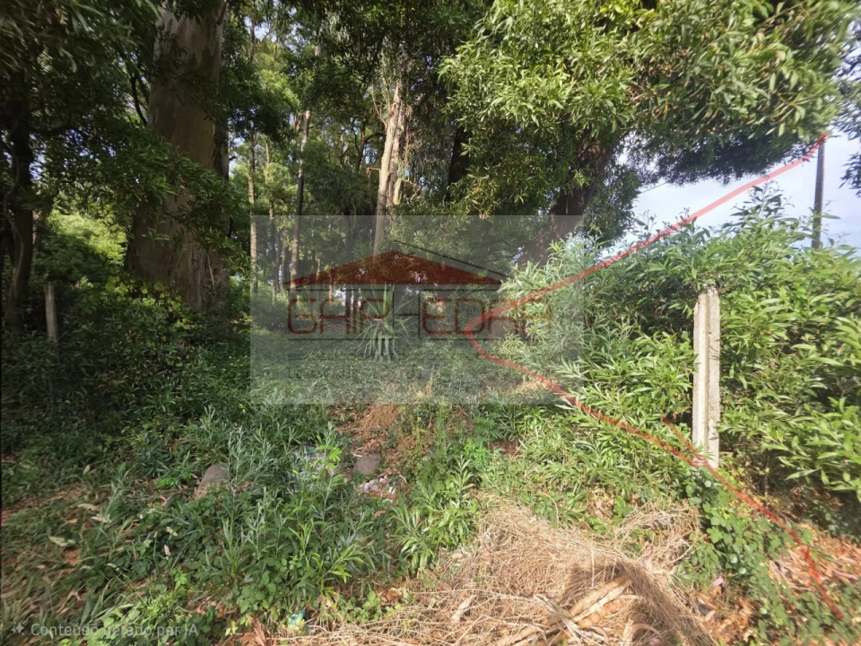 Terreno para Venda em Madalena Foto 15