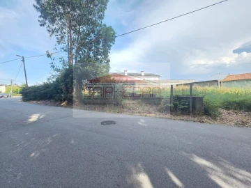 Terreno para Venda em Madalena