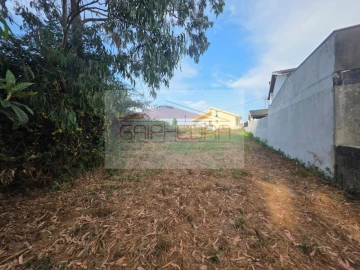 Terreno para Venda em Madalena