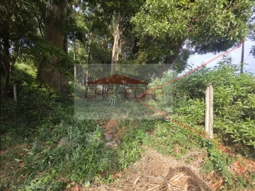 Terreno para Venda em Madalena
