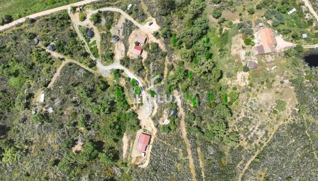 Terreno Agricola ou Rústico para Venda em Reliquias Foto 1