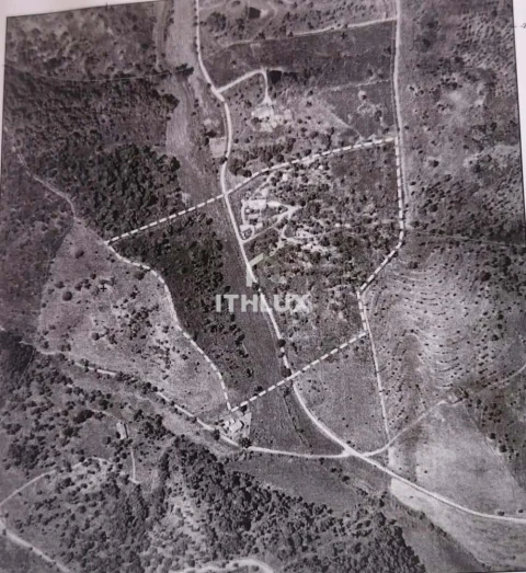 Terreno Agricola ou Rústico para Venda em Reliquias