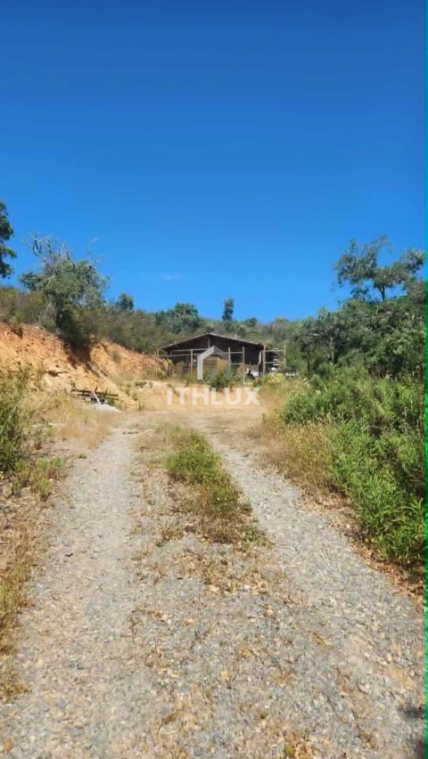 Terreno Agricola ou Rústico para Venda em Reliquias