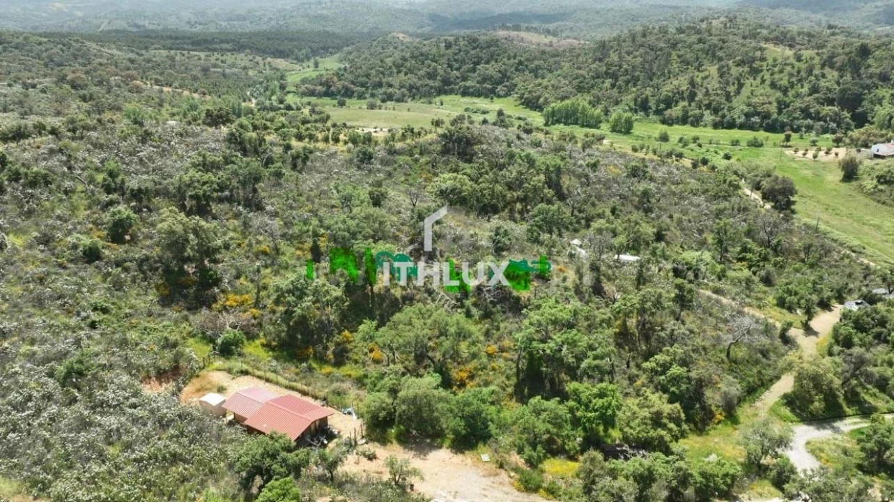 Terreno Agricola ou Rústico para Venda em Reliquias Foto 3