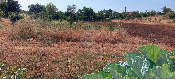Quinta T2 para Venda em Lagos (São Sebastião e Santa Maria)