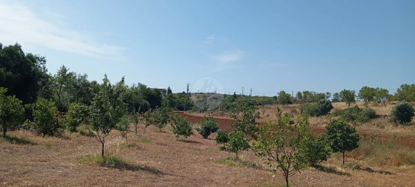 Quinta T2 para Venda em Lagos (São Sebastião e Santa Maria)