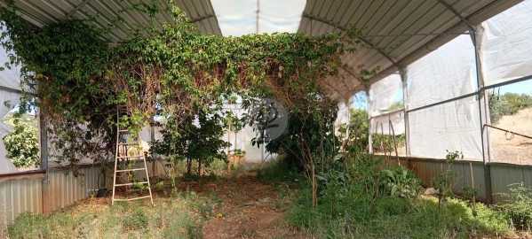 Quinta T2 para Venda em Lagos (São Sebastião e Santa Maria)