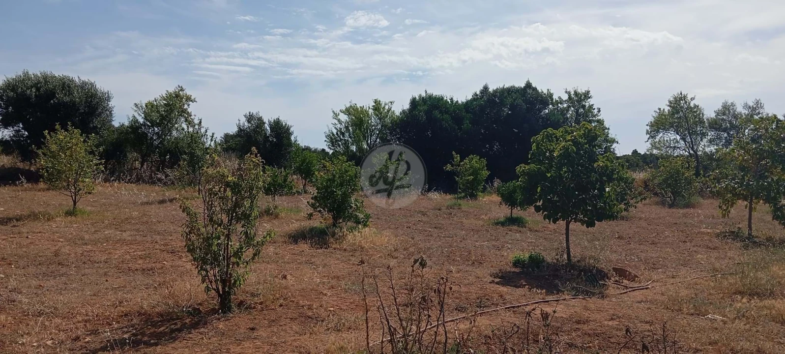 Quinta T2 para Venda em Lagos (São Sebastião e Santa Maria) Foto 30