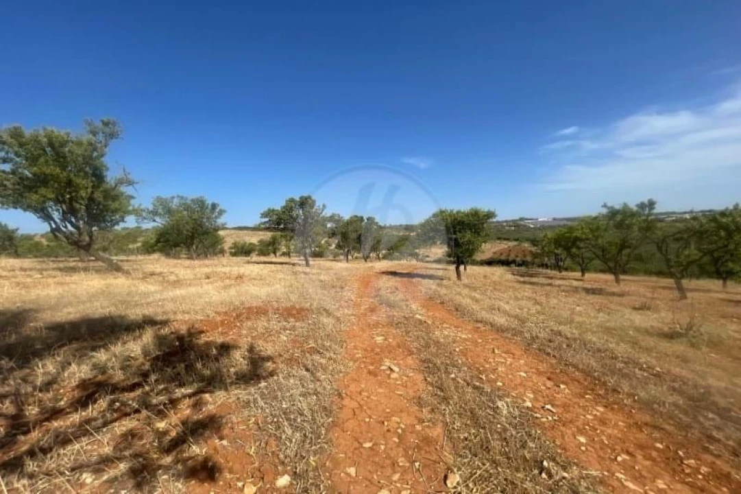Quinta T2 para Venda em Lagos (São Sebastião e Santa Maria) Foto 19