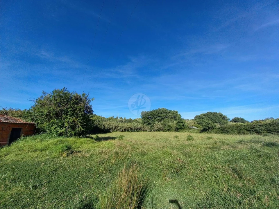 Terreno para Venda em Odiaxere Foto 2
