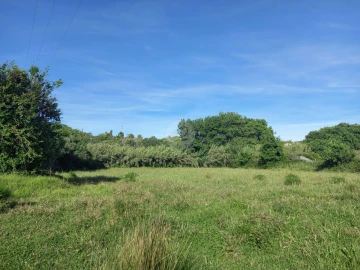 Terreno para Venda em Odiaxere