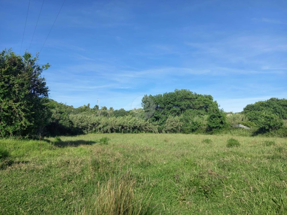 Terreno para Venda em Odiaxere Foto 3