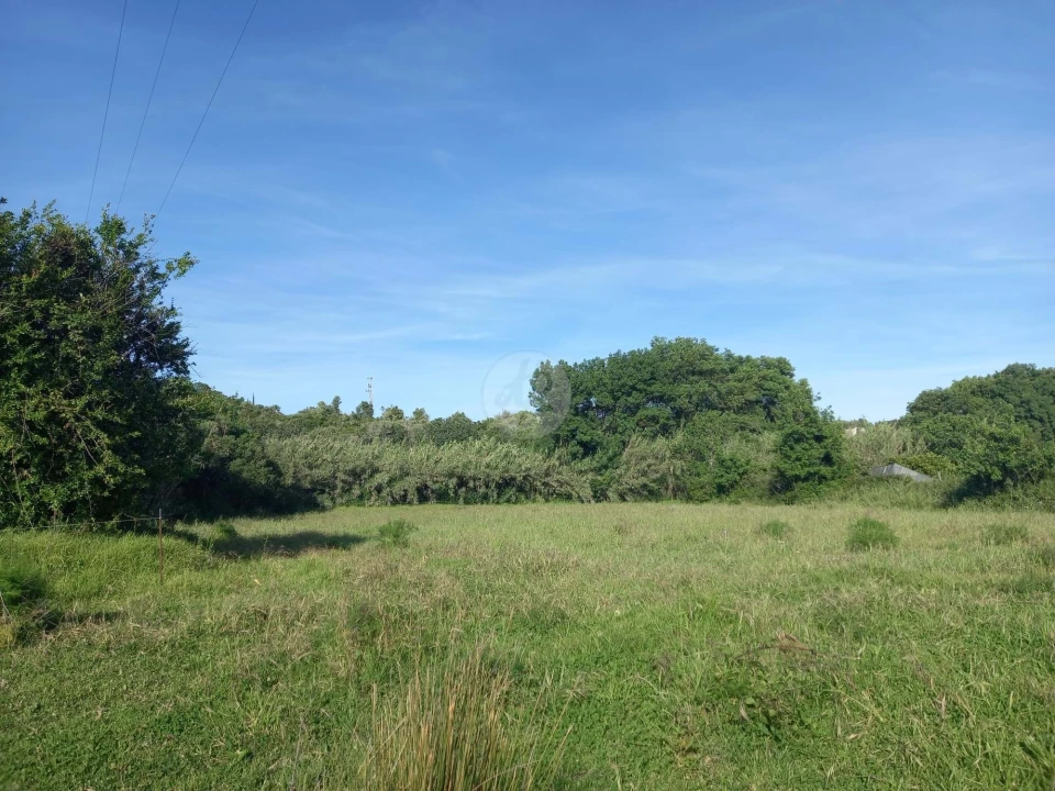 Terreno para Venda em Odiaxere Foto 1