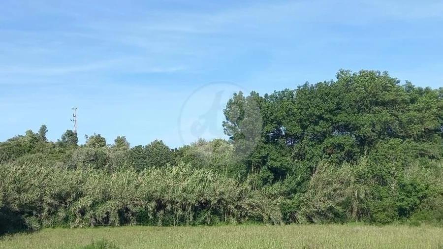 Terreno para Venda em Odiaxere