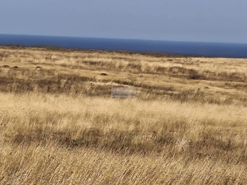 Terreno para Venda em Vila do Bispo e Raposeira