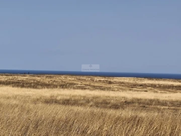 Terreno para Venda em Vila do Bispo e Raposeira