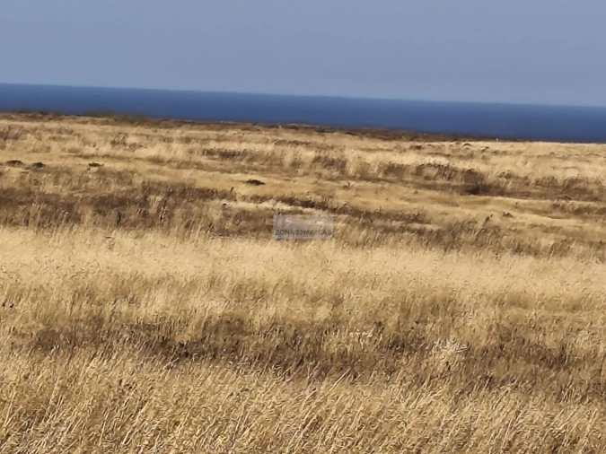 Terreno para Venda em Vila do Bispo e Raposeira Foto 3