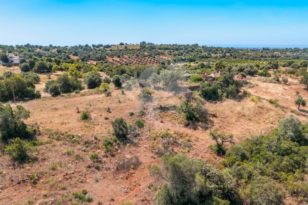 Terreno para Venda em Olhão Foto 13