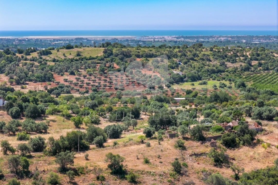 Terreno para Venda em Olhão Foto 10