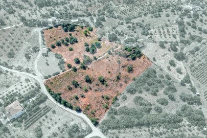 Terreno para Venda em Olhão