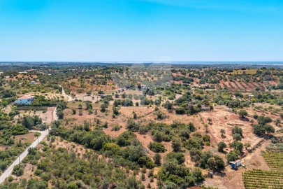 Terreno para Venda em Olhão