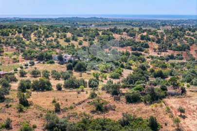 Terreno para Venda em Olhão