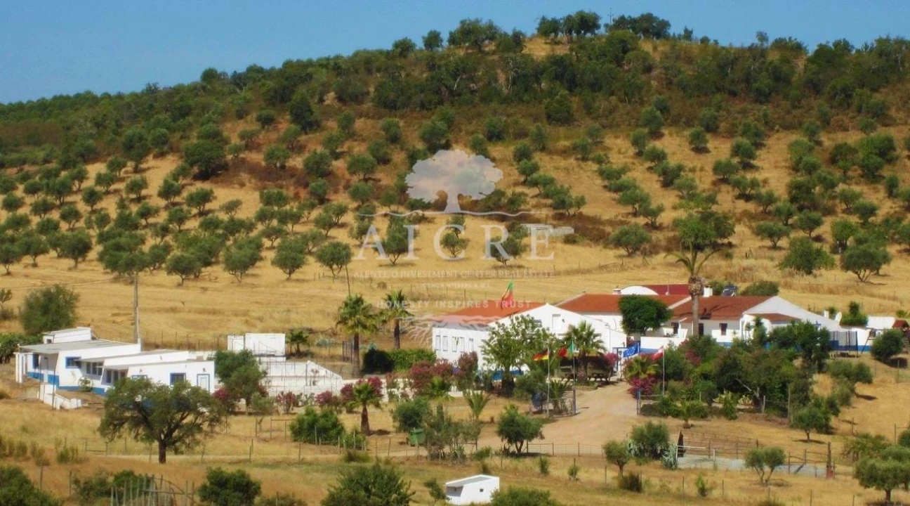 Quinta T3 para Venda em Portel Foto 67