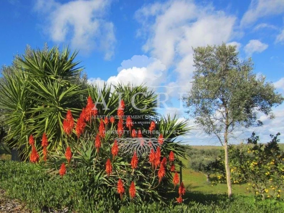 Quinta T3 para Venda em Portel Foto 17