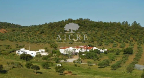 Quinta T3 para Venda em Portel