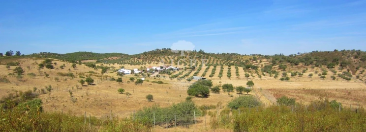 Quinta T3 para Venda em Portel