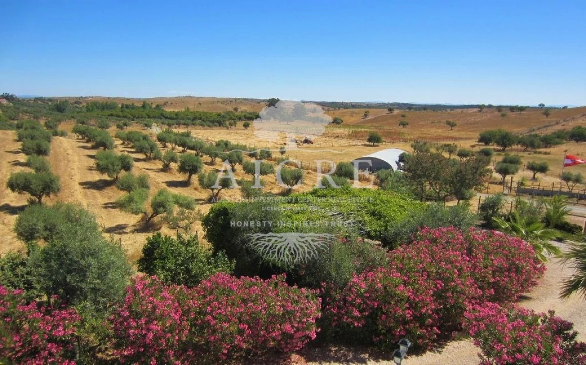 Quinta T3 para Venda em Portel Foto 62