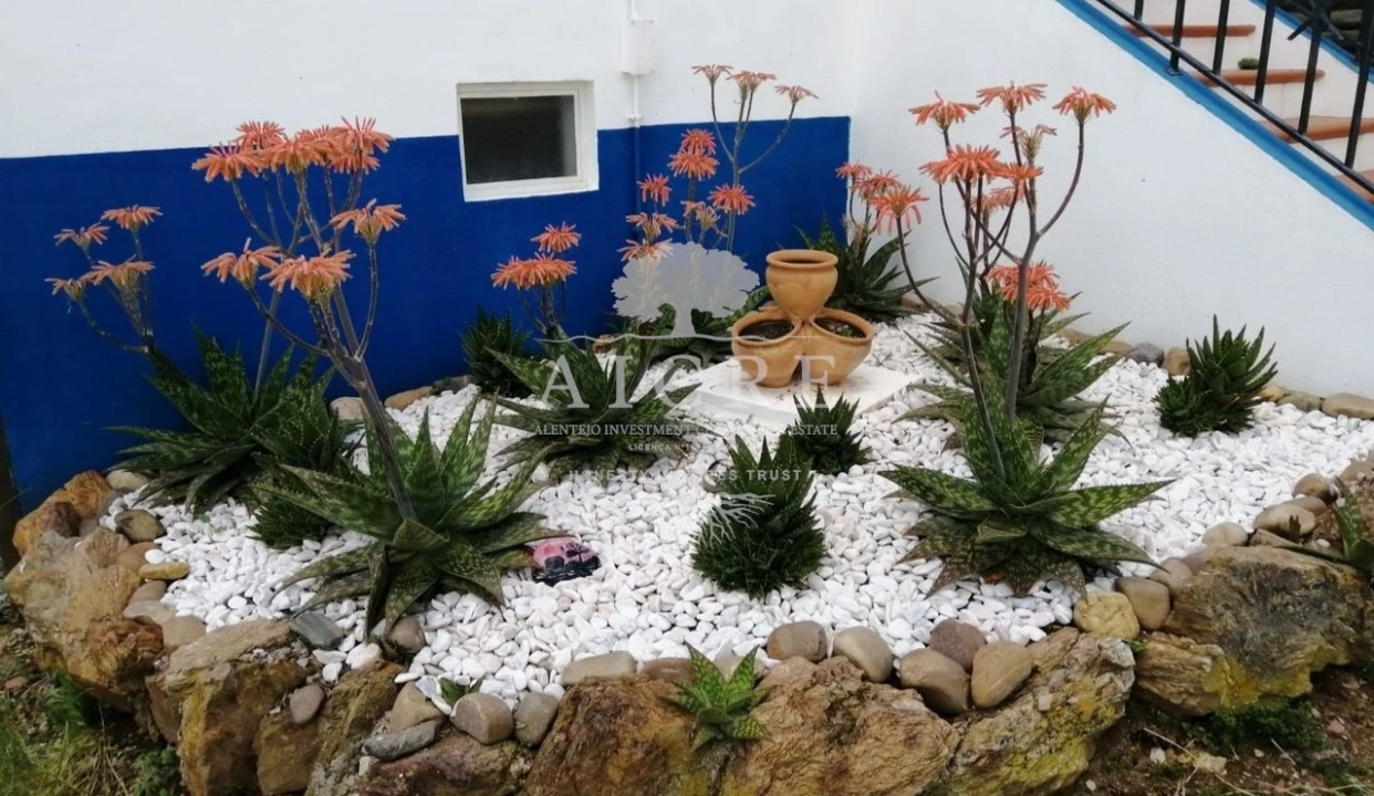 Quinta T3 para Venda em Portel Foto 13