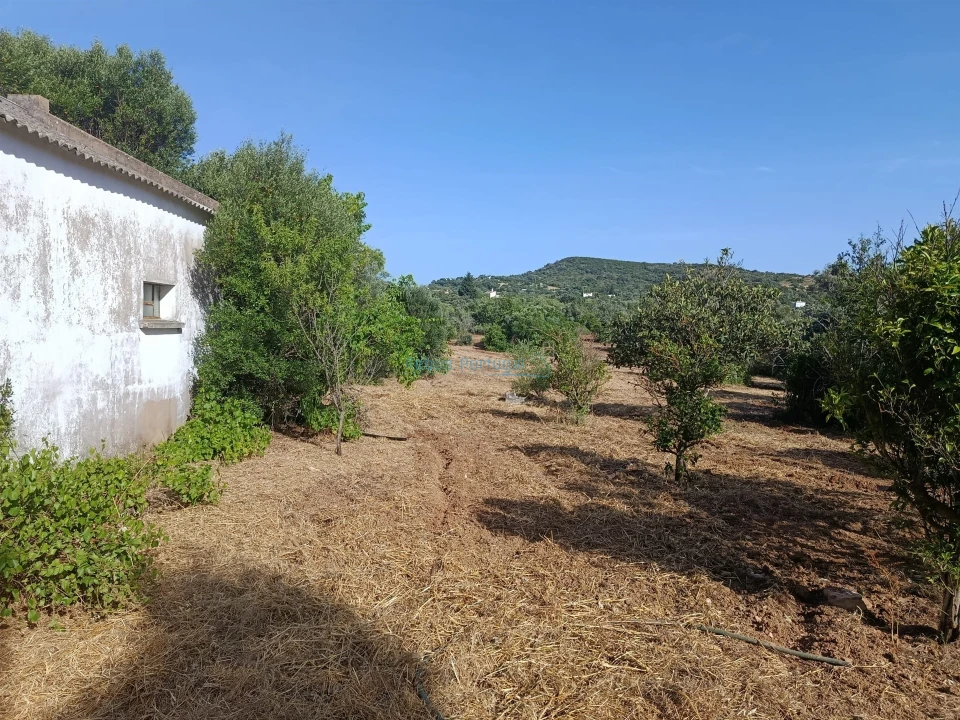 Quinta T5 para Venda em Santa Barbara de Nexe Foto 23