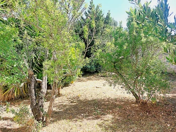Quinta T5 para Venda em Santa Barbara de Nexe