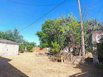 Quinta T5 para Venda em Santa Barbara de Nexe