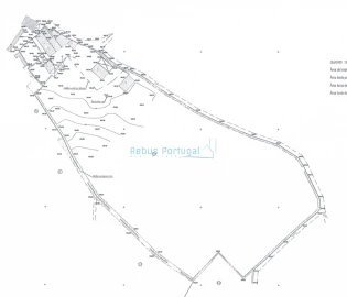 Quinta T5 para Venda em Santa Barbara de Nexe
