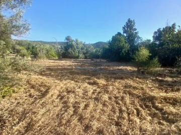 Quinta T5 para Venda em Santa Barbara de Nexe
