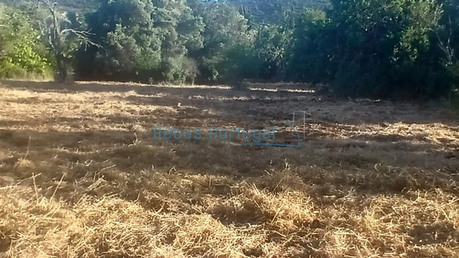 Quinta T5 para Venda em Santa Barbara de Nexe