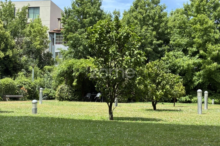 Apartamento T3 para Arrendamento em Cedofeita, Santo Ildefonso, Sé, Miragaia, São Nicolau e Vitória Foto 30