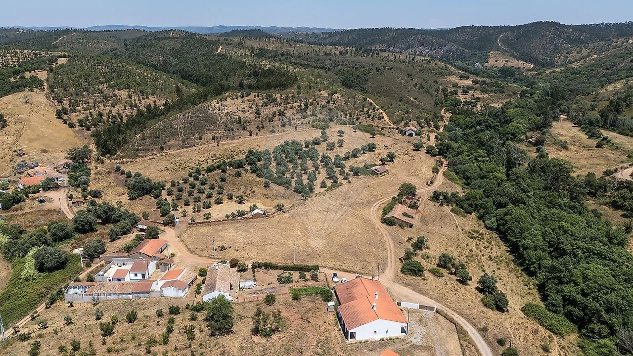 Quinta T7 para Venda em Saboia Foto 30