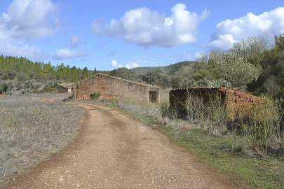 Quinta T7 para Venda em Saboia