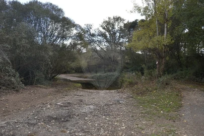 Quinta T7 para Venda em Saboia