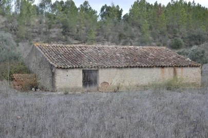 Quinta T7 para Venda em Saboia