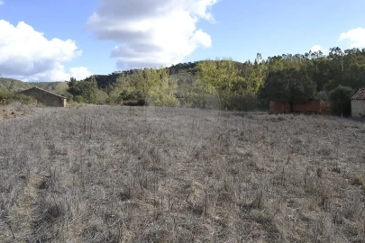 Quinta T7 para Venda em Saboia