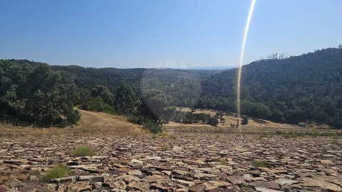 Quinta T7 para Venda em Saboia