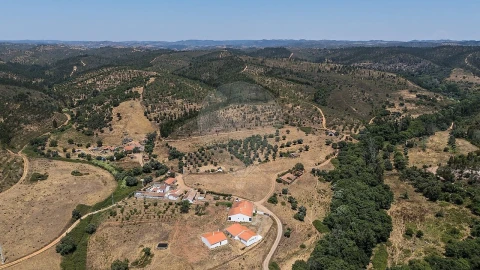 Quinta T7 para Venda em Saboia