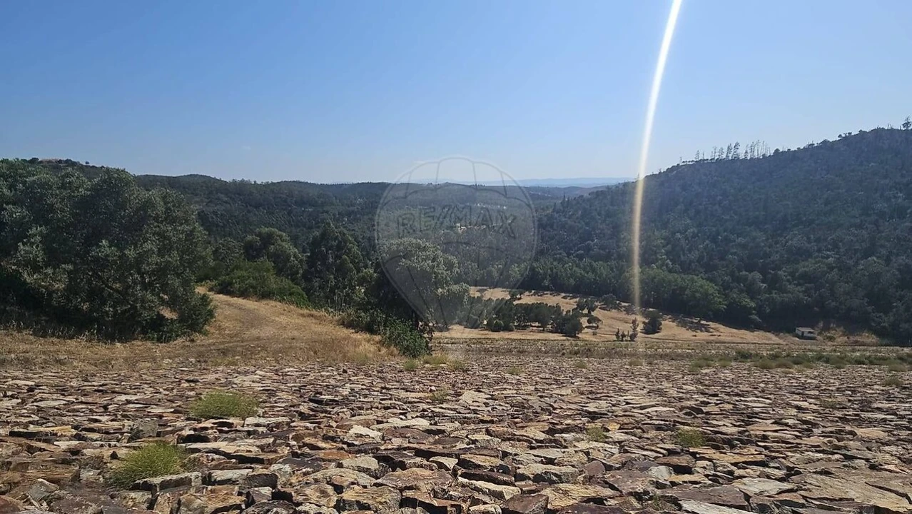 Quinta T7 para Venda em Saboia Foto 35